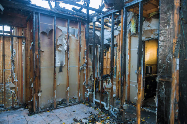 Professional Smoke Damage Removal technician working in Monterey Park, CA